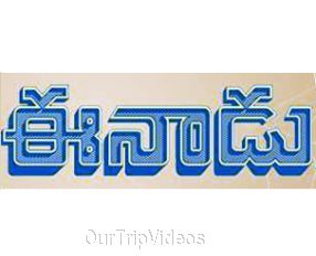 Eenadu - Online News Paper - 13667 views Eenadu - Online News Paper - 13667 views